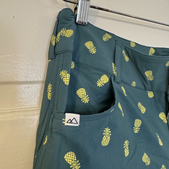 NWOT - Wild Rye Freel pineapple mountain bike shorts - size 12 - Picture 3 of 6